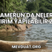 Kamerun'da Nelere Yatırım Yapılabilir 2025