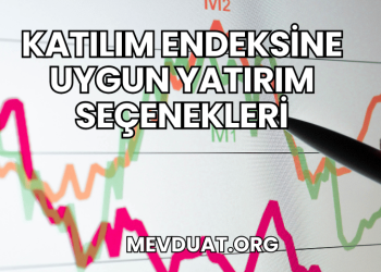 Katılım Endeksine Uygun Yatırım Seçenekleri
