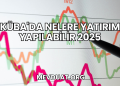 Küba'da Nelere Yatırım Yapılabilir 2025
