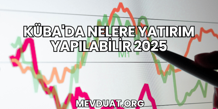 Küba'da Nelere Yatırım Yapılabilir 2025