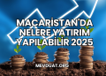 Macaristan'da Nelere Yatırım Yapılabilir 2025