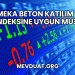 Meka Beton Katılım Endeksine Uygun mu?