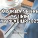 Mısır'da Nelere Yatırım Yapılabilir 2025