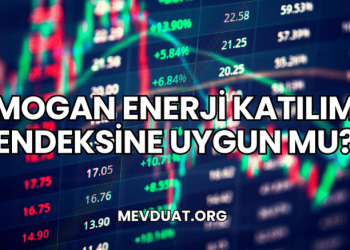 Mogan Enerji Katılım Endeksine Uygun mu?