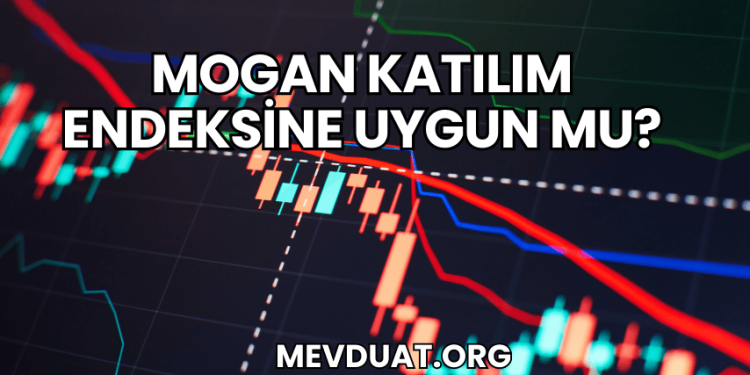 Mogan Katılım Endeksine Uyguan mu?