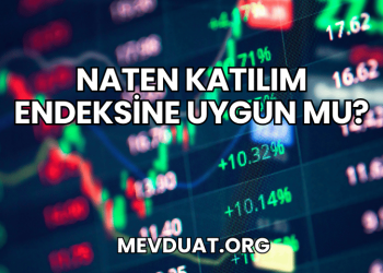 Naten Katılım Endeksine Uygun mu?