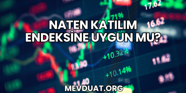 Naten Katılım Endeksine Uygun mu?