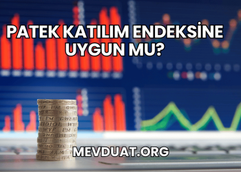Patek Katılım Endeksine Uygun mu?
