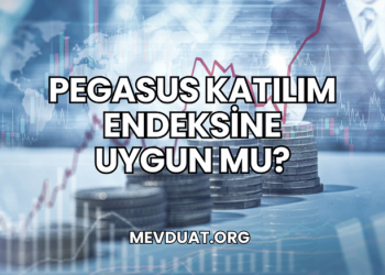 Pegasus Katılım Endeksine Uygun mu?