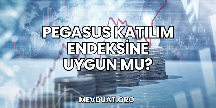 Pegasus Katılım Endeksine Uygun mu?
