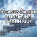 Pegasus Katılım Endeksine Uygun mu?