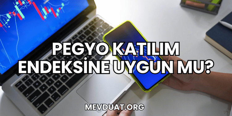 Pegyo Katılım Endeksine Uygun mu?