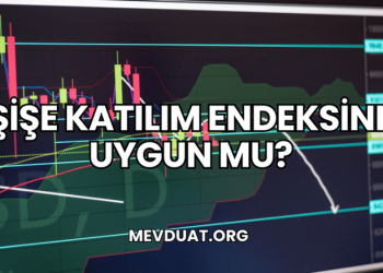Şişe Katılım Endeksine Uygun mu?