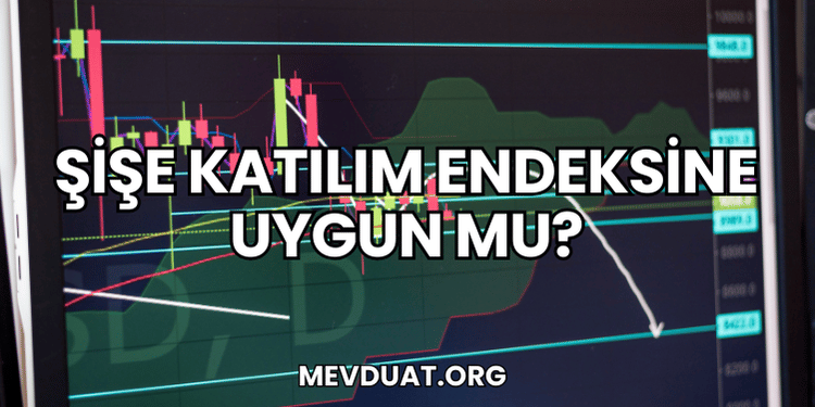 Şişe Katılım Endeksine Uygun mu?