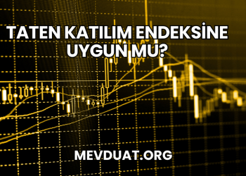 Taten Katılım Endeksine Uygun mu?