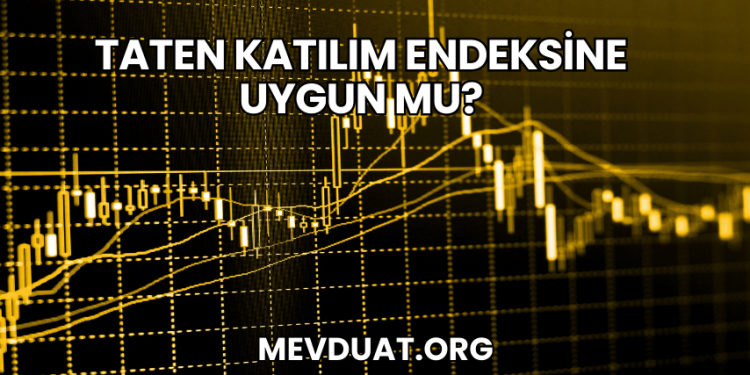 Taten Katılım Endeksine Uygun mu?