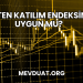 Taten Katılım Endeksine Uygun mu?