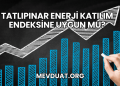Tatlıpınar Enerji Katılım Endeksine Uygun mu?