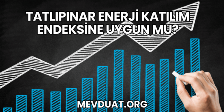 Tatlıpınar Enerji Katılım Endeksine Uygun mu?