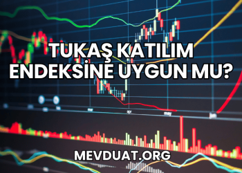 Tukaş Katılım Endeksine Uygun mu?