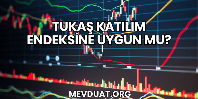 Tukaş Katılım Endeksine Uygun mu?