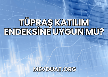 Tüpraş Katılım Endeksine Uygun mu?