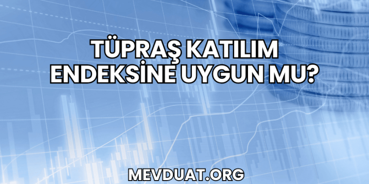 Tüpraş Katılım Endeksine Uygun mu?