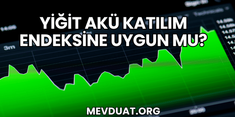 Yiğit Akü Katılım Endeksine Uygun mu?
