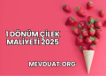 1 Dönüm Çilek Maliyeti 2025
