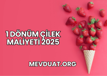 1 Dönüm Çilek Maliyeti 2025