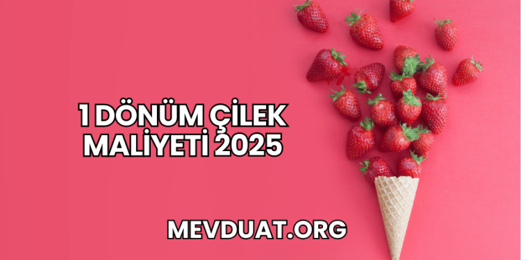 1 Dönüm Çilek Maliyeti 2025
