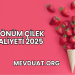 1 Dönüm Çilek Maliyeti 2025