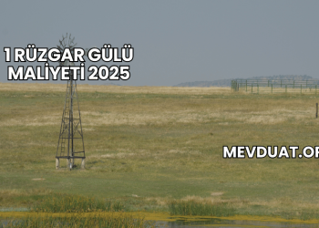 1 Rüzgar Gülü Maliyeti 2025