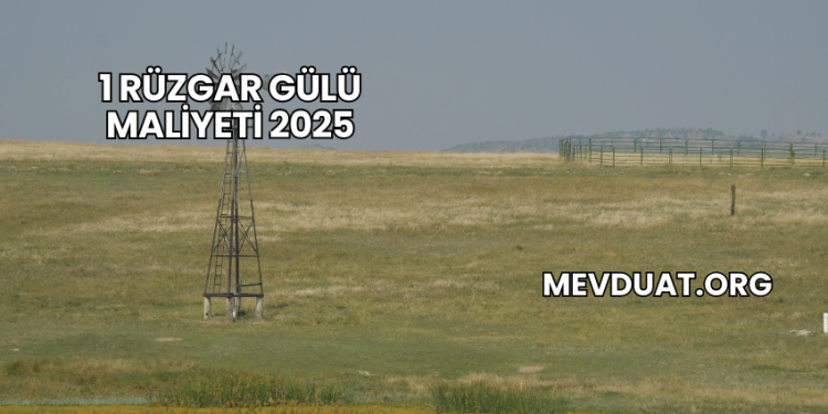 1 Rüzgar Gülü Maliyeti 2025