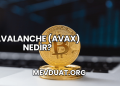 Avalanche (AVAX) Nedir?