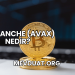 Avalanche (AVAX) Nedir?