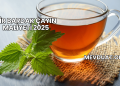 Bir Bardak Çayın Maliyeti 2025