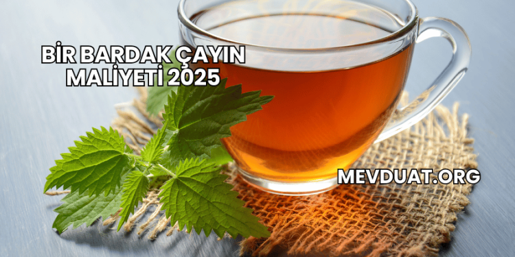 Bir Bardak Çayın Maliyeti 2025
