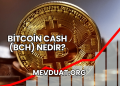 Bitcoin Cash (BCH) Nedir?