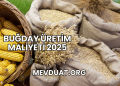 Buğday Üretim Maliyeti 2025