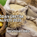 Buğday Üretim Maliyeti 2025