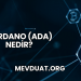 Cardano (ADA) Nedir?