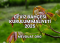 Ceviz Bahçesi Kurulum Maliyeti 2025