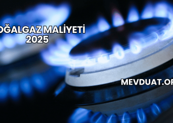 Doğalgaz Maliyeti 2025