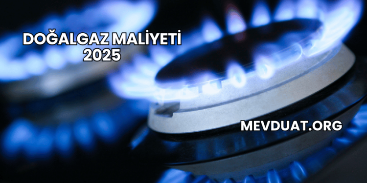 Doğalgaz Maliyeti 2025