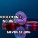 Dogecoin Nedir?