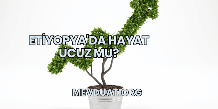 Etiyopya'da Hayat Ucuz mu?