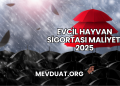 Evcil Hayvan Sigortası Maliyeti 2025