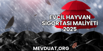 Evcil Hayvan Sigortası Maliyeti 2025