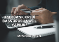 Halkbank Kredi Başvurusu Nasıl Yapılır?